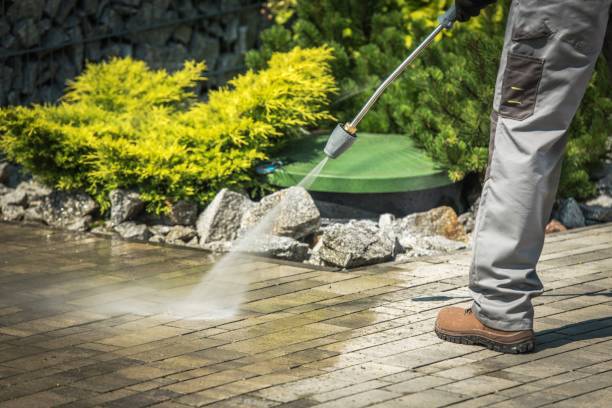 Best Roof Washing  in Pine Lakes, FL